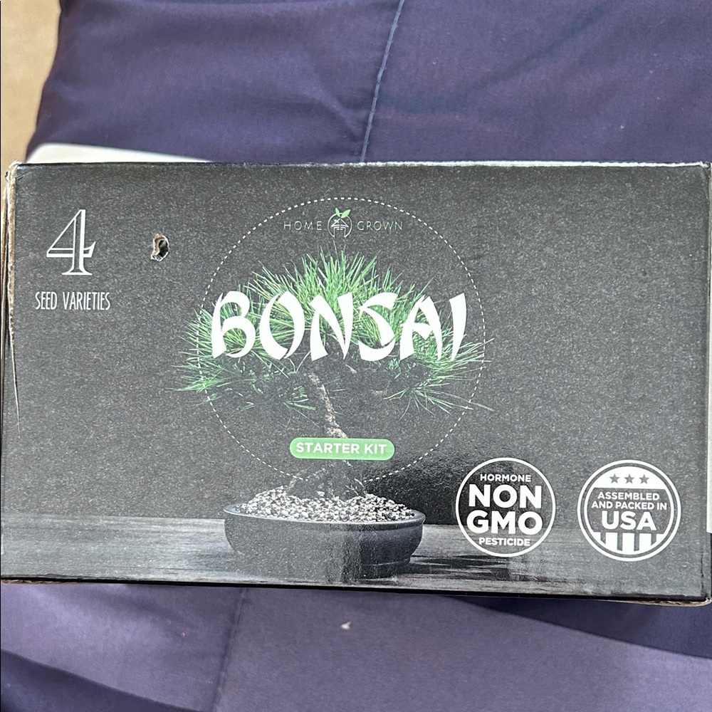 Bonsai Starter Kit - Green